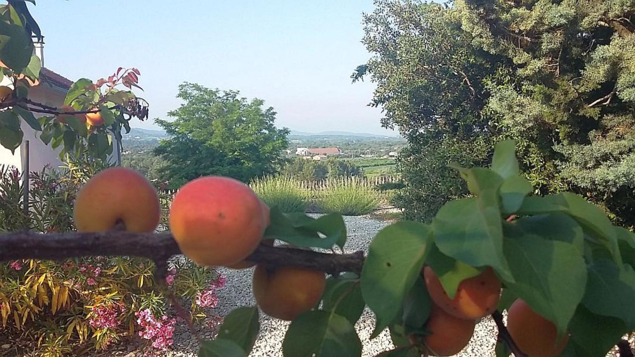 Masmazan Bed and Breakfast Εξωτερικό φωτογραφία