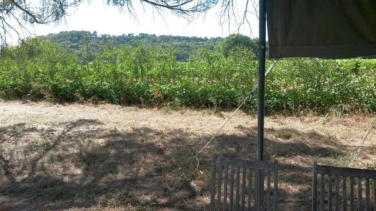 Masmazan Bed and Breakfast Εξωτερικό φωτογραφία